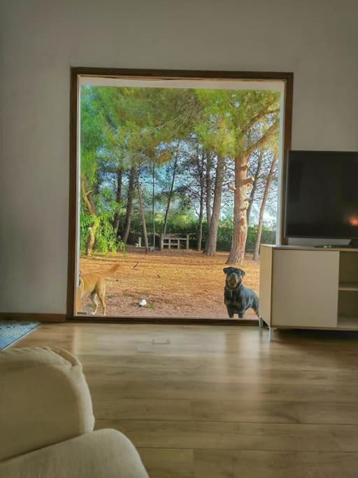 Villa El Rincon De La Luz Salinas  Εξωτερικό φωτογραφία